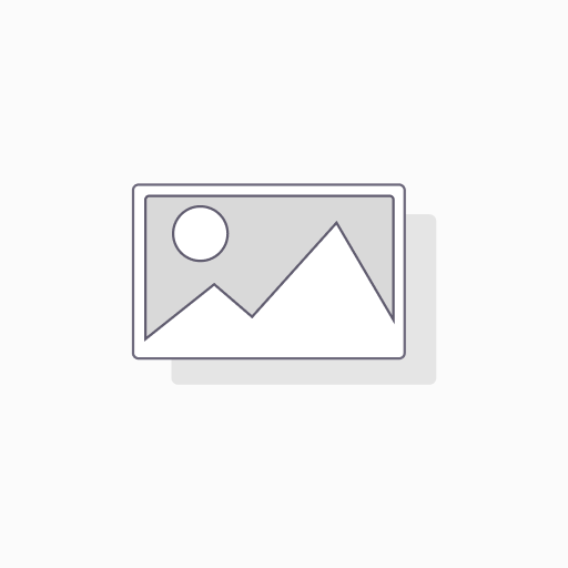 [PTPLDH] Prestation au temps passé Lead Developer (Heures)